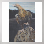 Bird of pray print