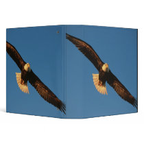 Bird of Prey, Bald Eagle in flight, Kachemak Vinyl Binders