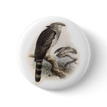 Bird of Prey Pins