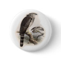 Bird of Prey buttons by Memory_Lane Bird of Prey buttons