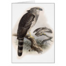  - Vintage Birds with Delightful wildlife scenes full of detail and charm on cards and invitations.: Sizes 