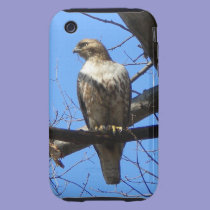 Bird Of Prey iPhone 3 case casemate cases