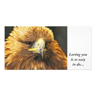 Bird of Prey, Loving you is so easy to do Photo Cards by anthonyhedger