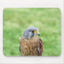 bird of prey mouse pad