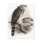  - Vintage Birds with Delightful wildlife scenes full of detail and charm on cards and invitations.: Sizes 