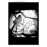 Bird on A Branch Monochrome cards