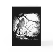 Bird on A Branch Monochrome Card