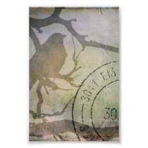 Bird On A Branch Photo Art