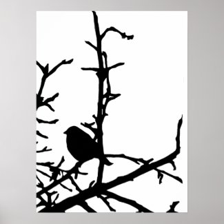 Bird on a Branch