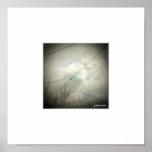 Bird on a Capize Poster
