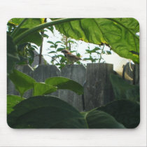 Bird on a Fence mousepads