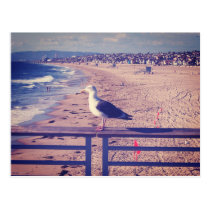 Bird On A Rail postcards
