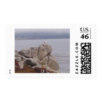 Bird on a Rock stamps