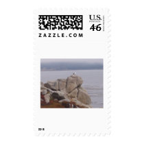 Bird on a Rock stamps