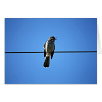 Bird On A Wire (Blank Inside) Cards