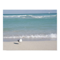 Bird on beach posters by sbkerrick Bird on beach posters