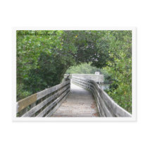 Bird on Boardwalk Postcard