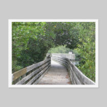 Bird on Boardwalk Postcard
