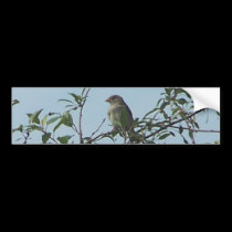 Bird On Branch 1 bumper stickers by melhi_ Bird On Branch 1 bumper stickers
