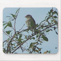 Bird On Branch 1 mousepads by melhi_ Bird On Branch 1 mousepads