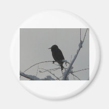 bird on cold day fridge magnet
