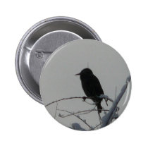 bird on cold day buttons