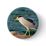 bird on rock button