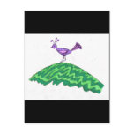 Bird on the Hill Post Cards