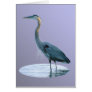bird only greeting card