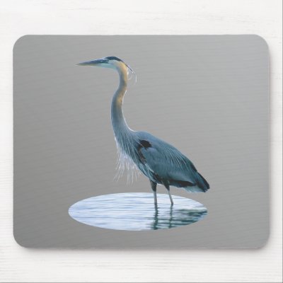 bird only mouse pad by roimim