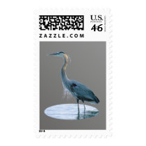 bird only postage stamps
