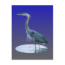 bird only postcards