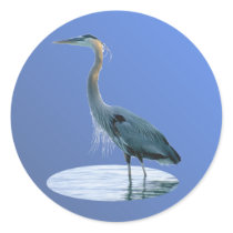 bird only round stickers
