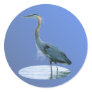 bird only round stickers