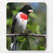 Bird Pad Mouse Pad