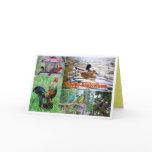 Bird Pairs Collage Happy Anniversary Card
