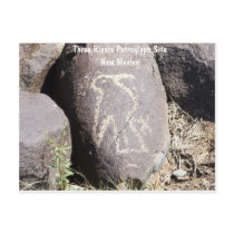 Bird Petroglyph Postcard
