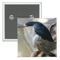 bird buttons