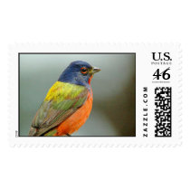 bird postage by milliedogpup bird postage