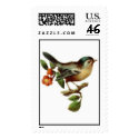 Bird postage by kokobaby Bird postage