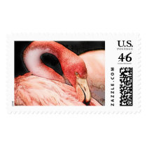 bird postage