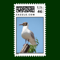 Bird postage postage