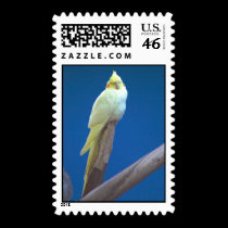 Bird postage stamps