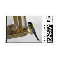 Bird Postage Stamps