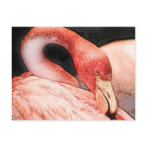 bird postcards
