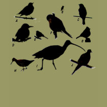 Bird Quiz T-Shirt