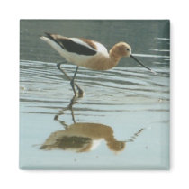 Bird Reflection at Mono Lake magnets by JBPhotoBiz Bird Reflection at Mono Lake magnets