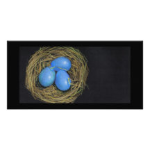 BIRD (ROBIN) EGGS IN NEST: ART PHOTO CARD TEMPLATE