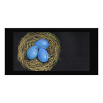 BIRD (ROBIN) EGGS IN NEST: ART PHOTO CARD TEMPLATE