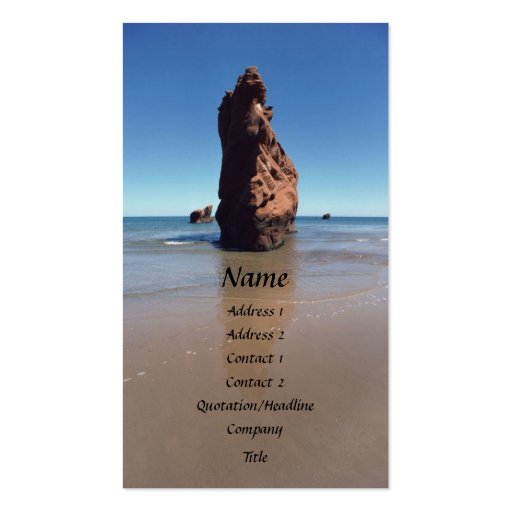 Bird Rock Profile Card Business Card (front side)